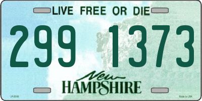 NH license plate 2991373