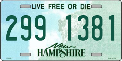 NH license plate 2991381