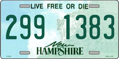 NH license plate 2991383