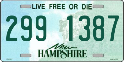 NH license plate 2991387