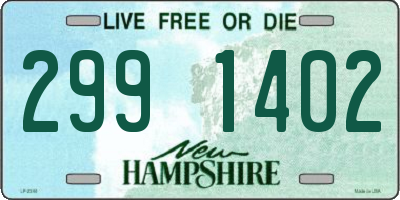 NH license plate 2991402