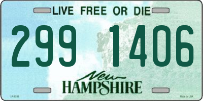 NH license plate 2991406