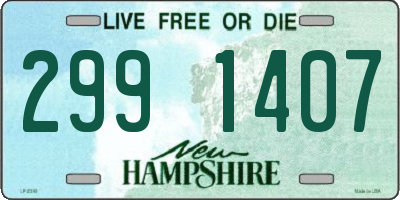 NH license plate 2991407