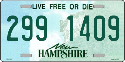 NH license plate 2991409