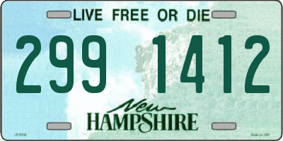 NH license plate 2991412