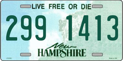 NH license plate 2991413
