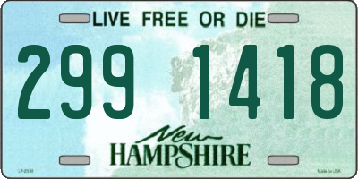 NH license plate 2991418