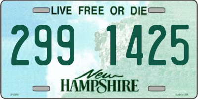 NH license plate 2991425