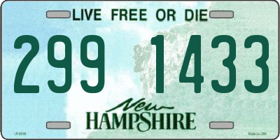 NH license plate 2991433