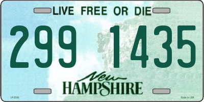 NH license plate 2991435