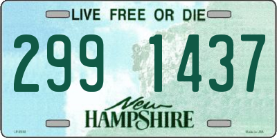 NH license plate 2991437