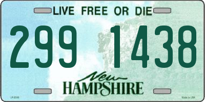 NH license plate 2991438
