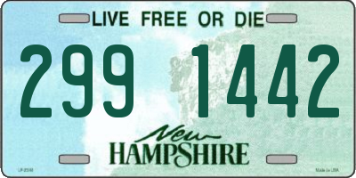 NH license plate 2991442