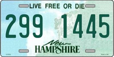 NH license plate 2991445