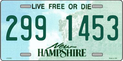 NH license plate 2991453