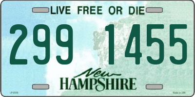 NH license plate 2991455