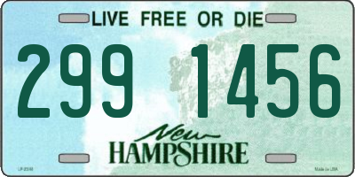 NH license plate 2991456