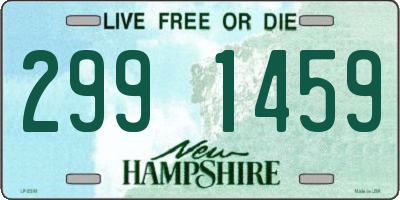 NH license plate 2991459