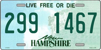 NH license plate 2991467