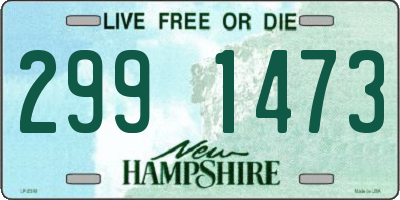 NH license plate 2991473