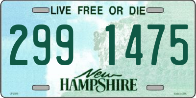 NH license plate 2991475