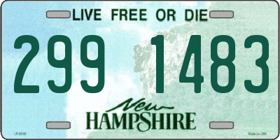 NH license plate 2991483