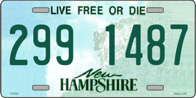 NH license plate 2991487