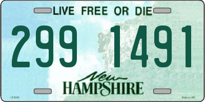 NH license plate 2991491