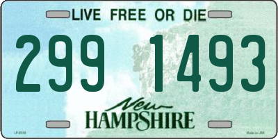 NH license plate 2991493