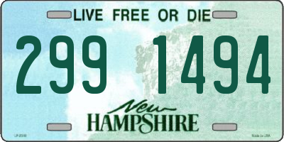 NH license plate 2991494