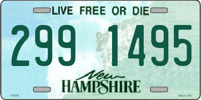NH license plate 2991495
