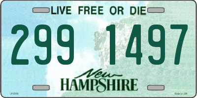 NH license plate 2991497