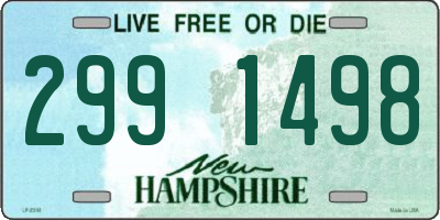 NH license plate 2991498