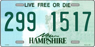 NH license plate 2991517