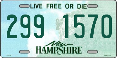 NH license plate 2991570