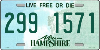 NH license plate 2991571