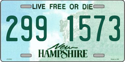 NH license plate 2991573