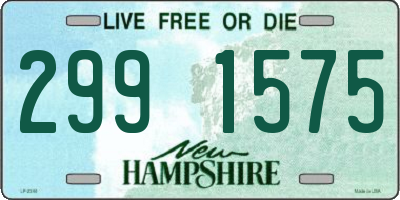 NH license plate 2991575
