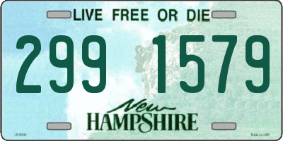 NH license plate 2991579
