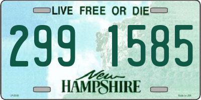 NH license plate 2991585
