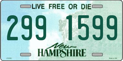 NH license plate 2991599