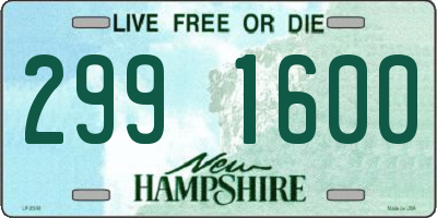 NH license plate 2991600