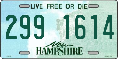 NH license plate 2991614