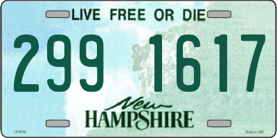 NH license plate 2991617
