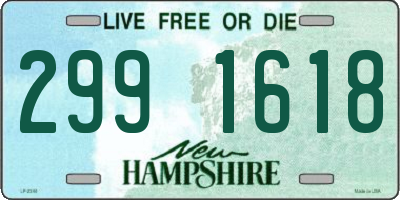 NH license plate 2991618