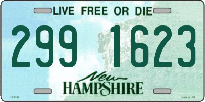 NH license plate 2991623