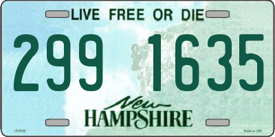 NH license plate 2991635