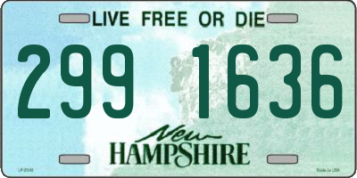 NH license plate 2991636