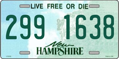 NH license plate 2991638