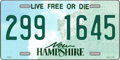 NH license plate 2991645